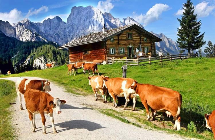 Haus Hohenwarter Otel Lofer Dış mekan fotoğraf