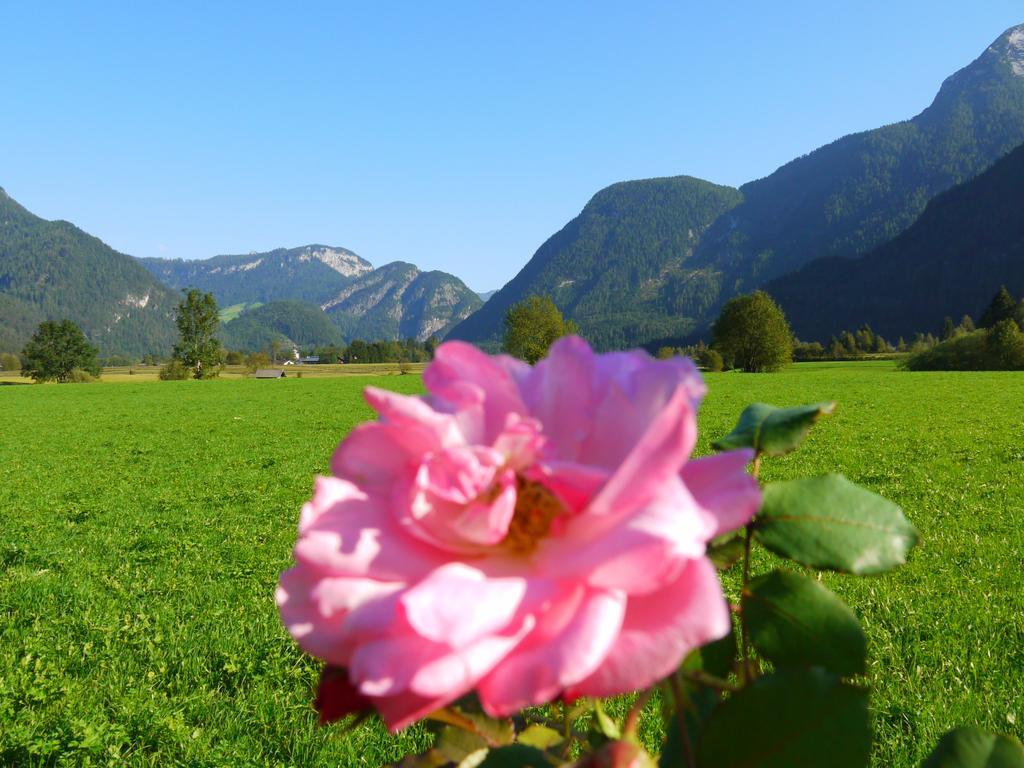 Haus Hohenwarter Otel Lofer Oda fotoğraf
